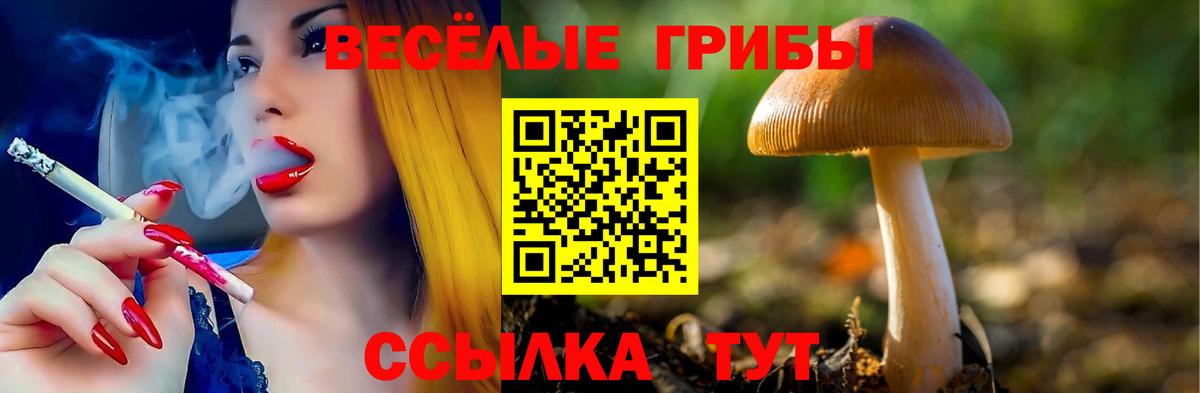 Галлюциногенные грибы Cubensis  Вход с VPN  Сургут 